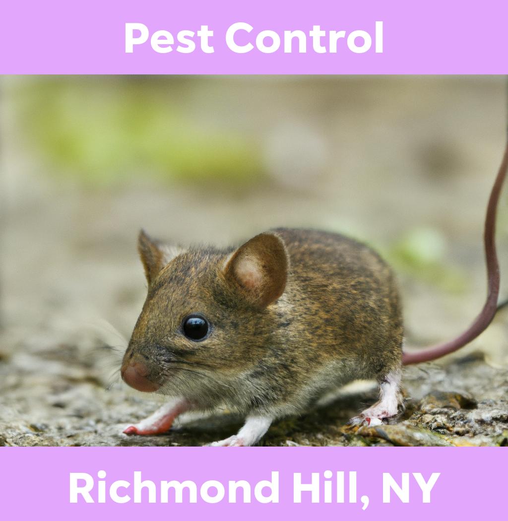 pest control in Richmond Hill New York