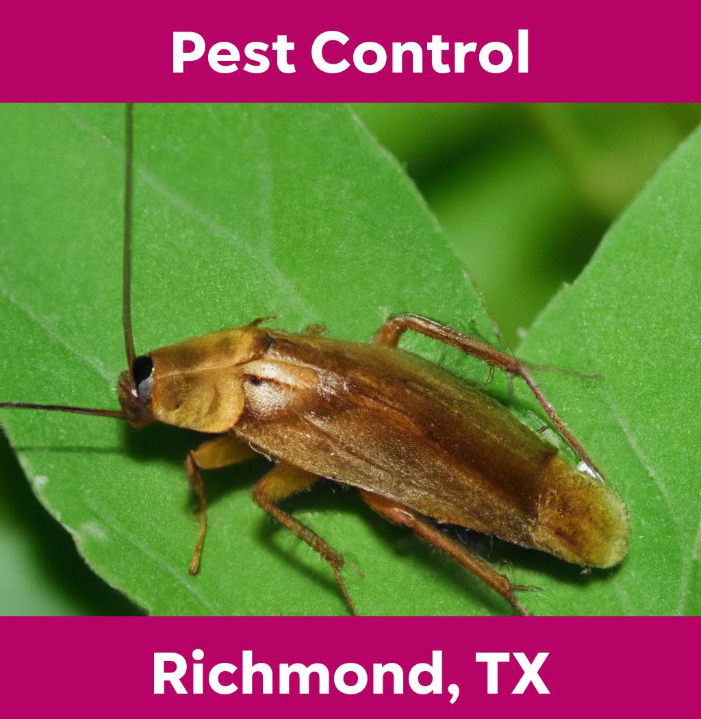 pest control in Richmond Texas