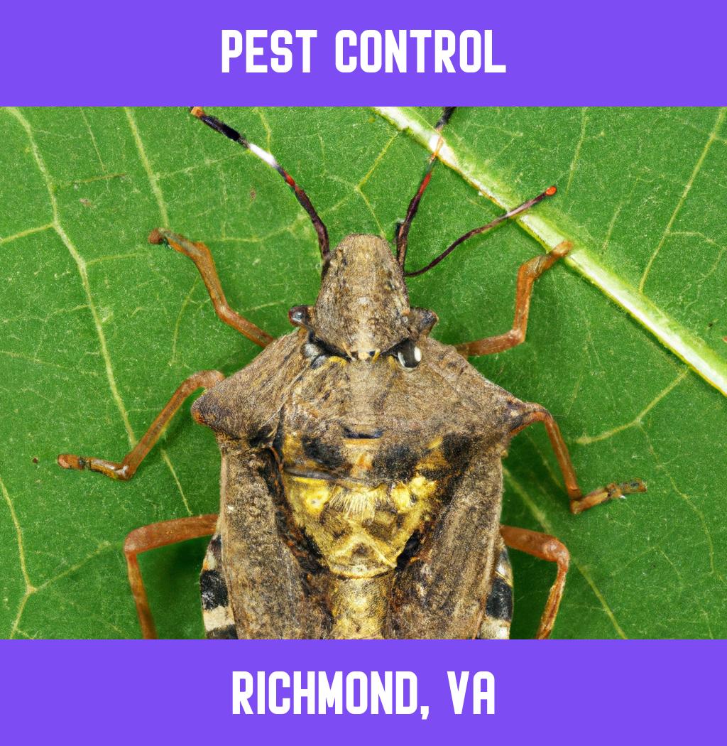 pest control in Richmond Virginia