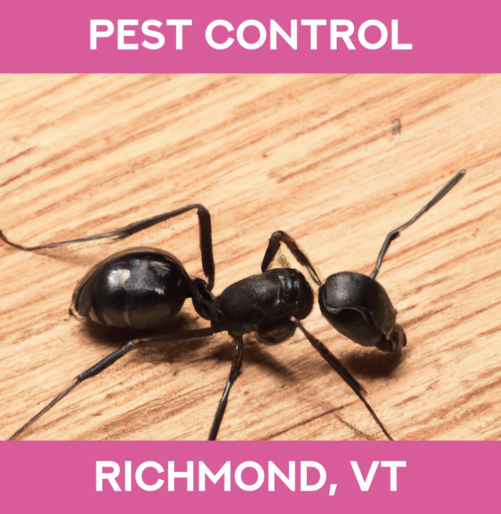 pest control in Richmond Vermont
