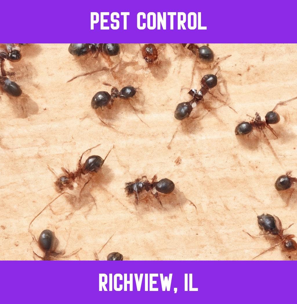 pest control in Richview Illinois