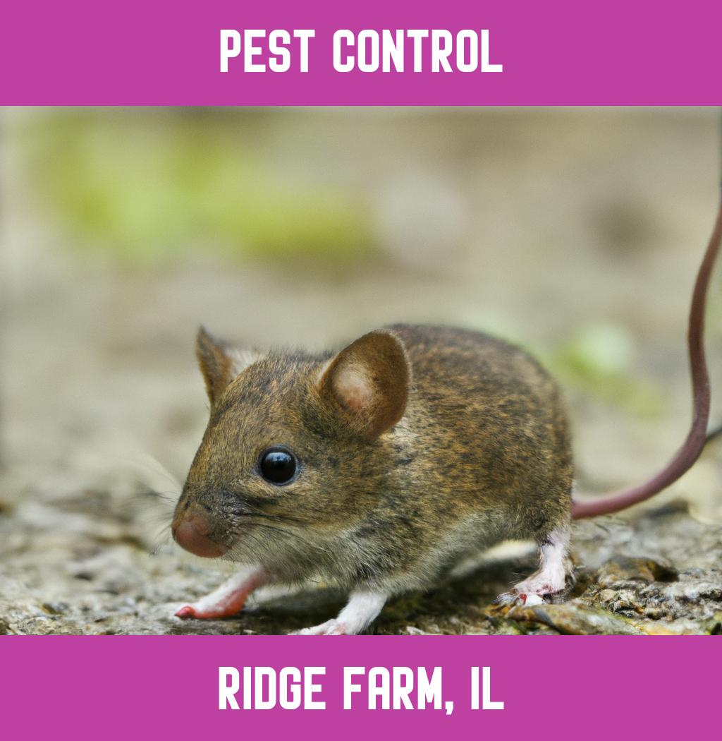 pest control in Ridge Farm Illinois