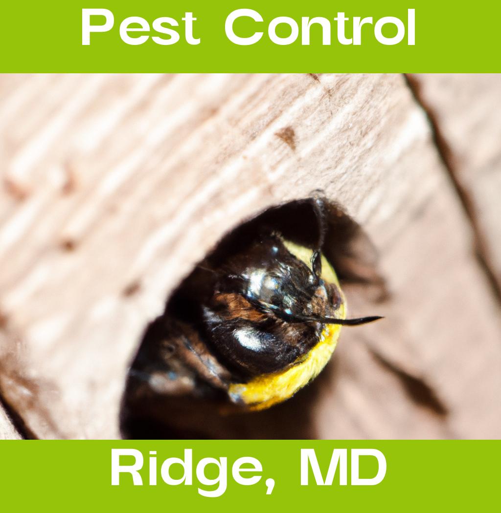 pest control in Ridge Maryland
