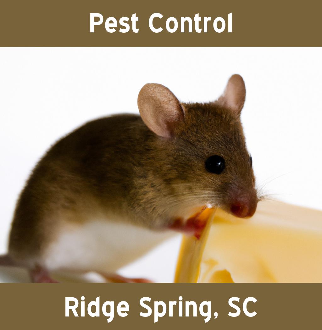 pest control in Ridge Spring South Carolina