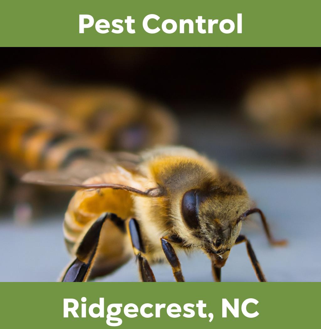 pest control in Ridgecrest North Carolina