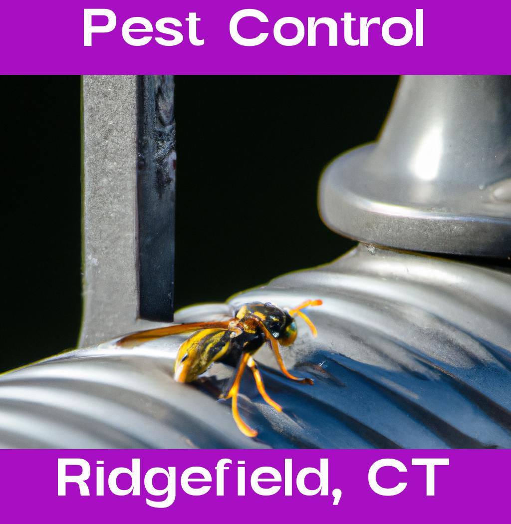 pest control in Ridgefield Connecticut