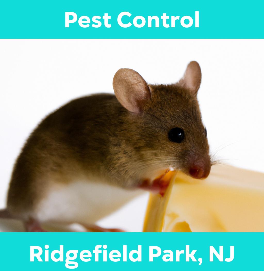 pest control in Ridgefield Park New Jersey