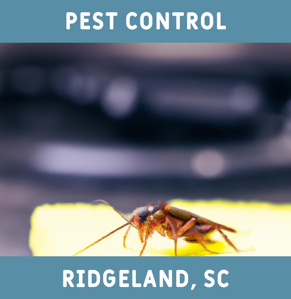 pest control in Ridgeland South Carolina