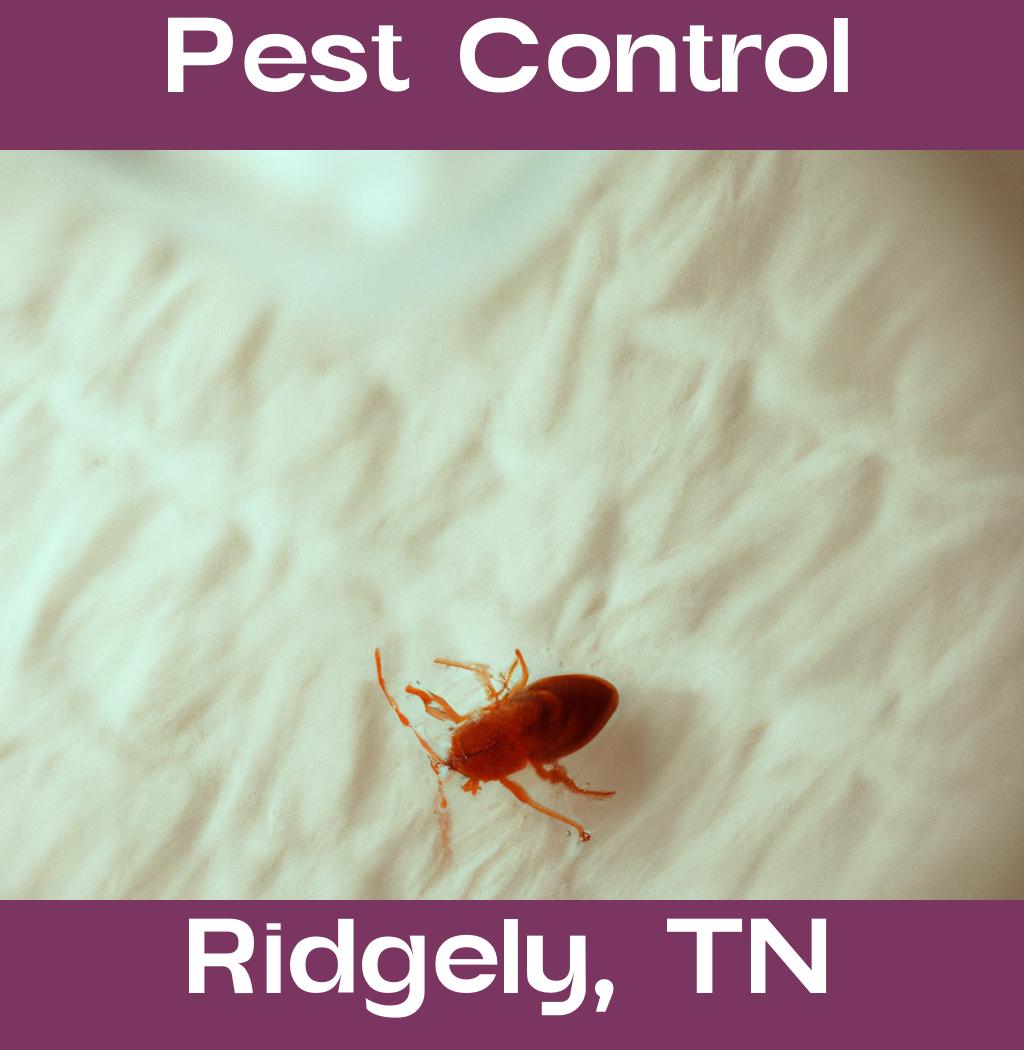 pest control in Ridgely Tennessee