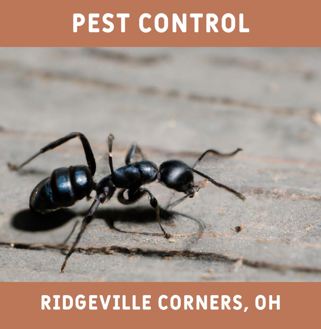 pest control in Ridgeville Corners Ohio