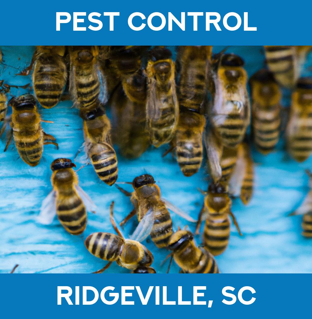 pest control in Ridgeville South Carolina