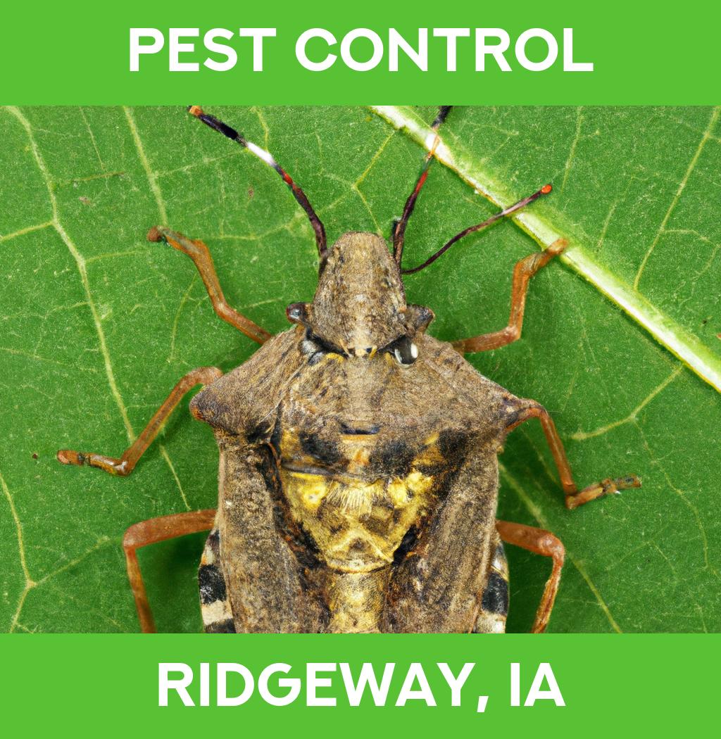 pest control in Ridgeway Iowa