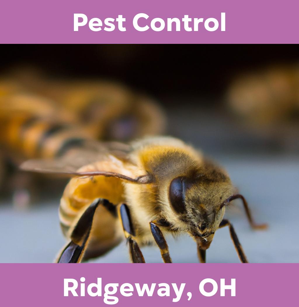 pest control in Ridgeway Ohio