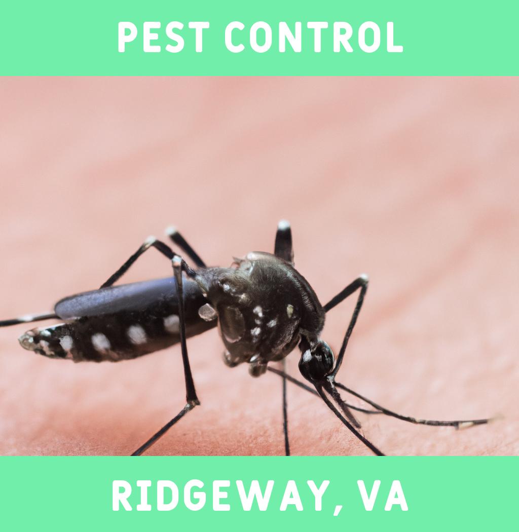 pest control in Ridgeway Virginia