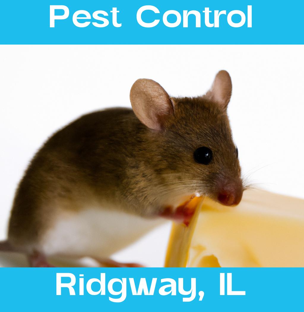pest control in Ridgway Illinois