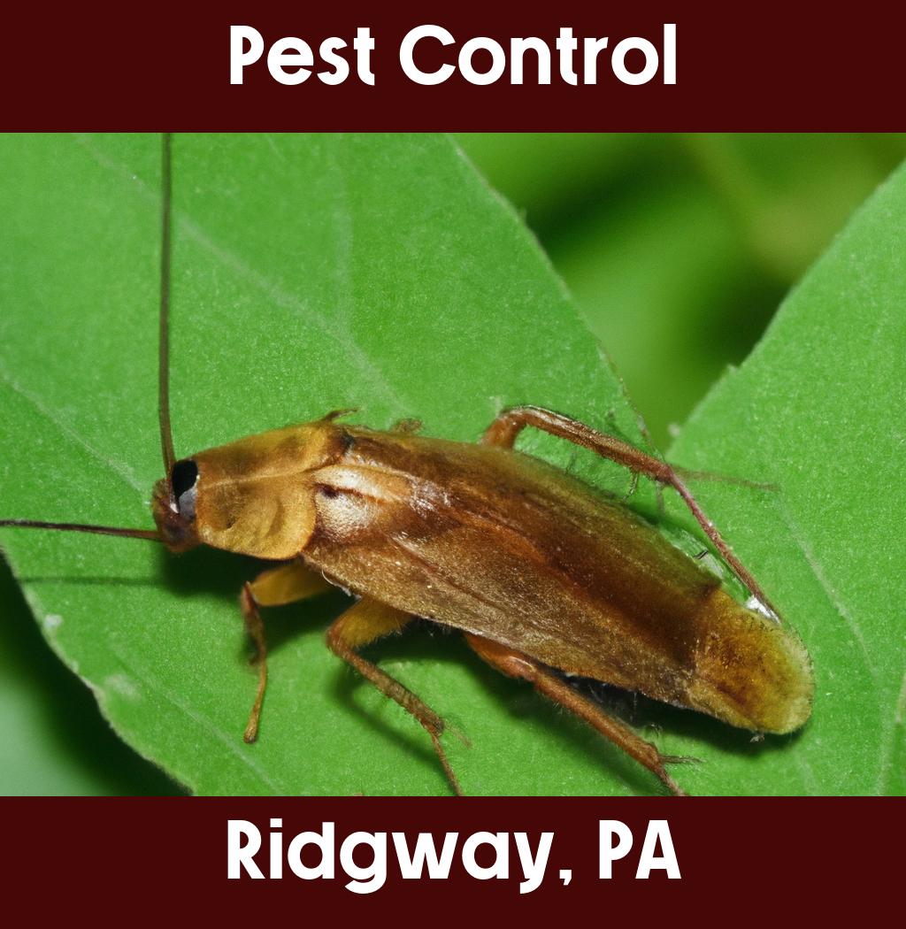 pest control in Ridgway Pennsylvania