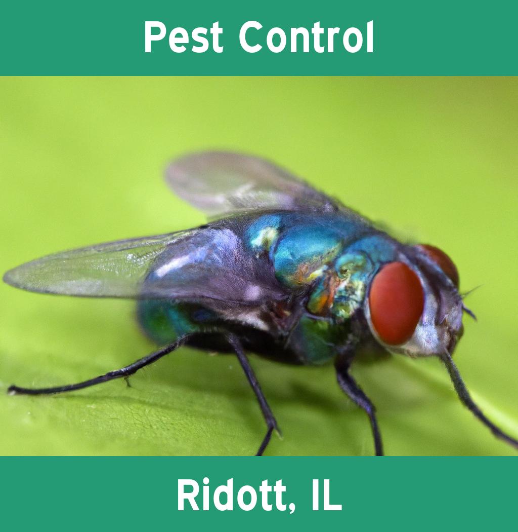 pest control in Ridott Illinois