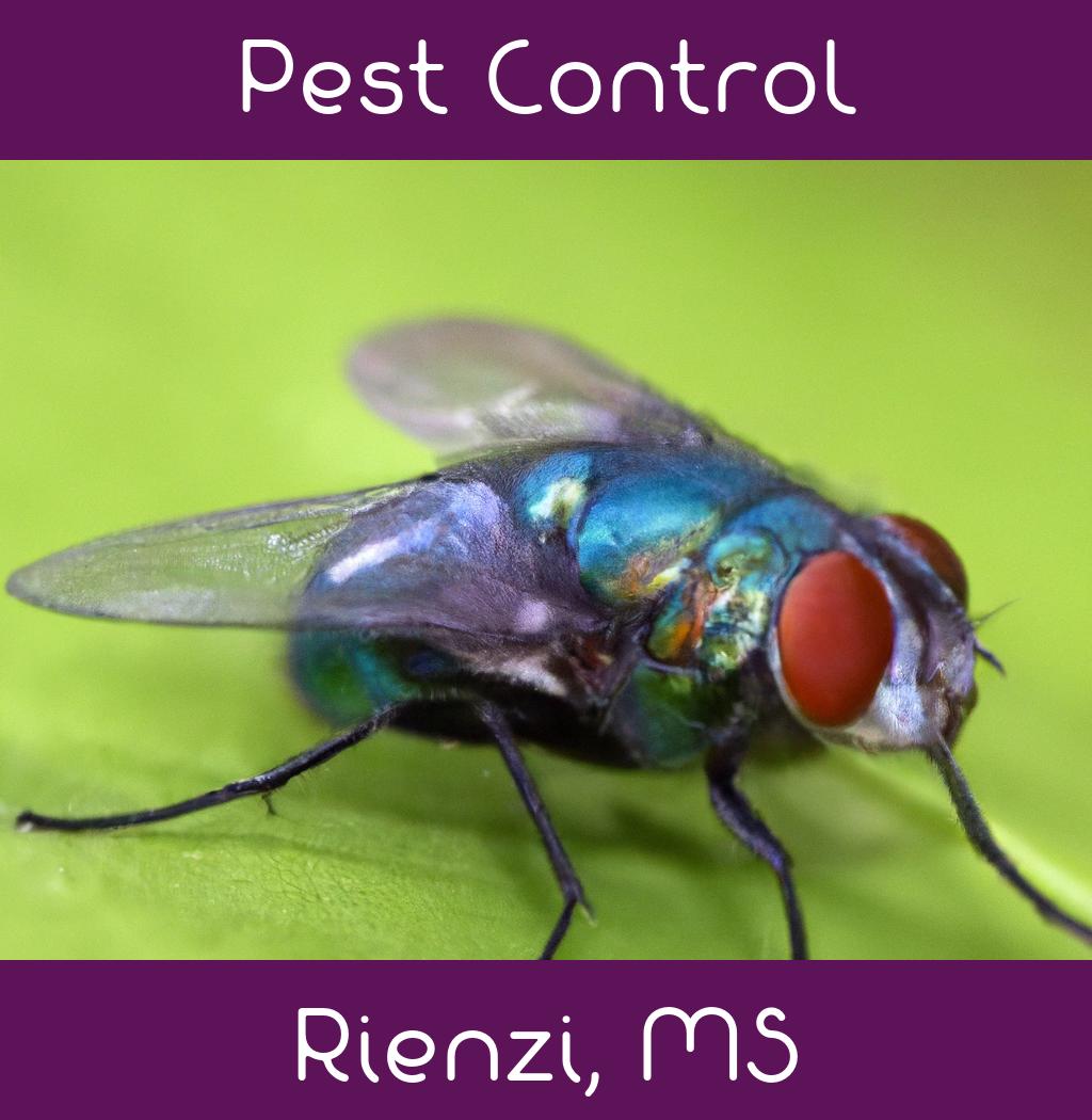 pest control in Rienzi Mississippi