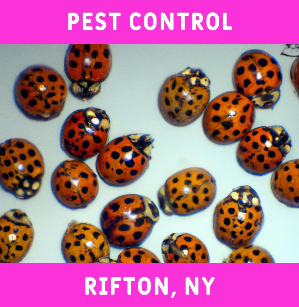 pest control in Rifton New York