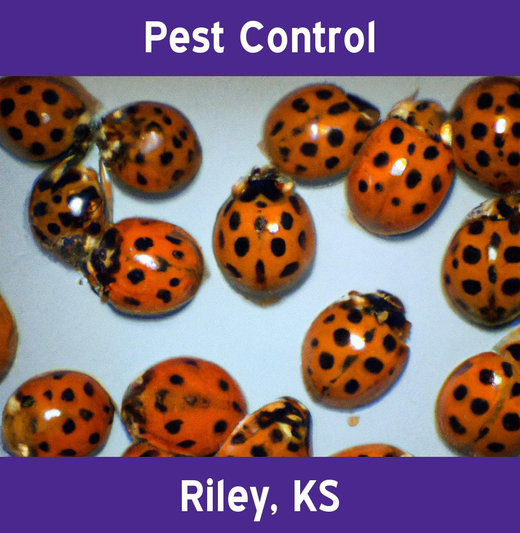 pest control in Riley Kansas
