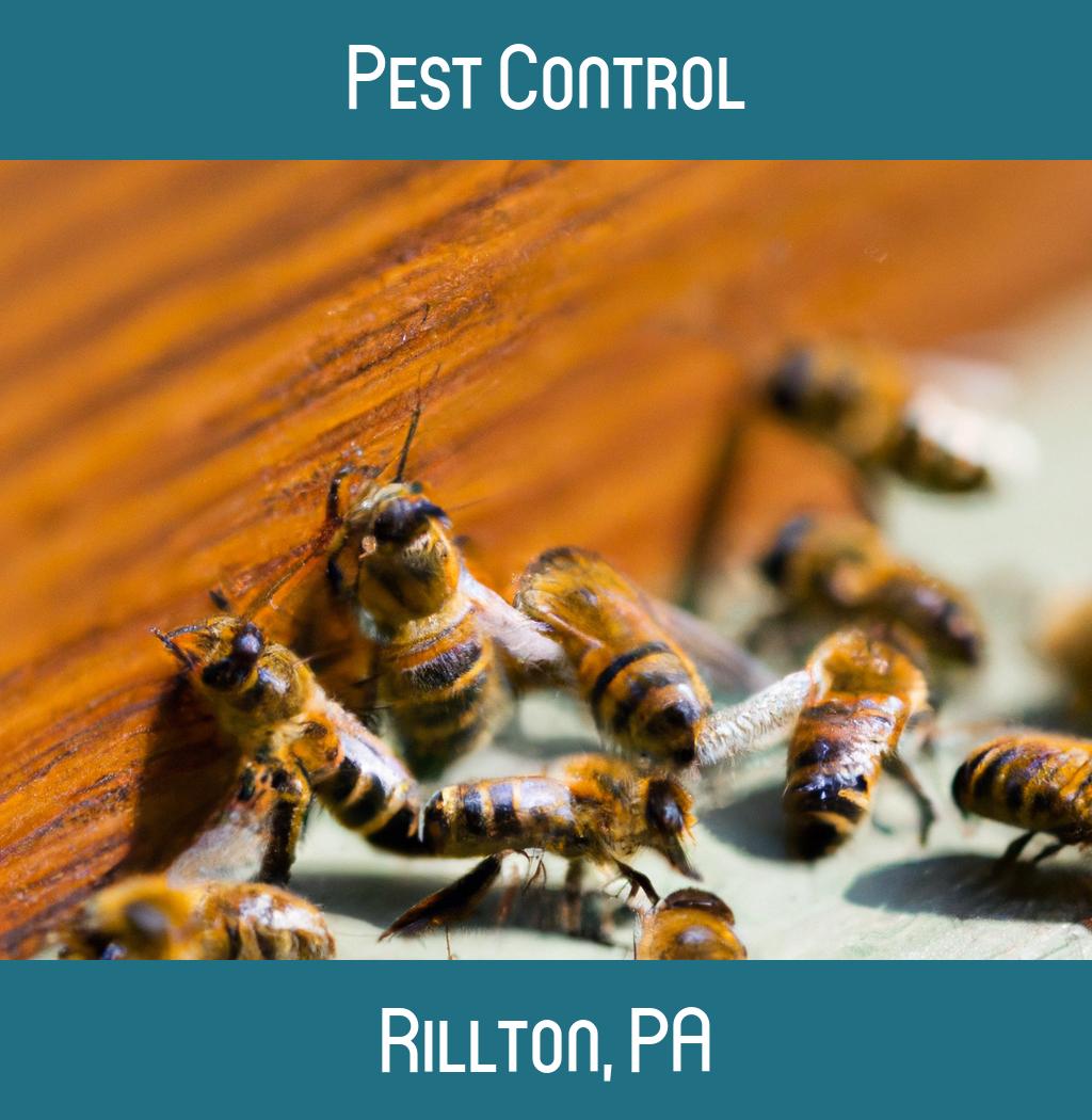 pest control in Rillton Pennsylvania