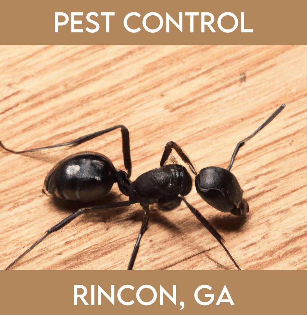 pest control in Rincon Georgia