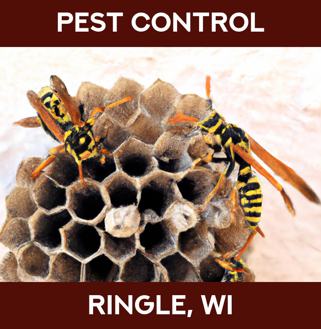 pest control in Ringle Wisconsin