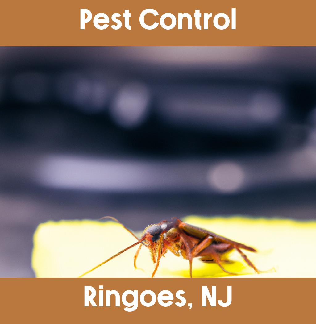 pest control in Ringoes New Jersey