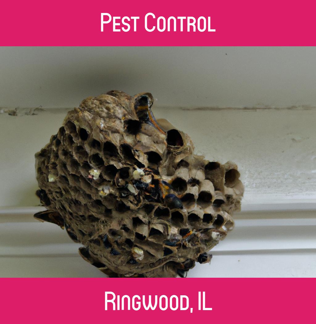 pest control in Ringwood Illinois