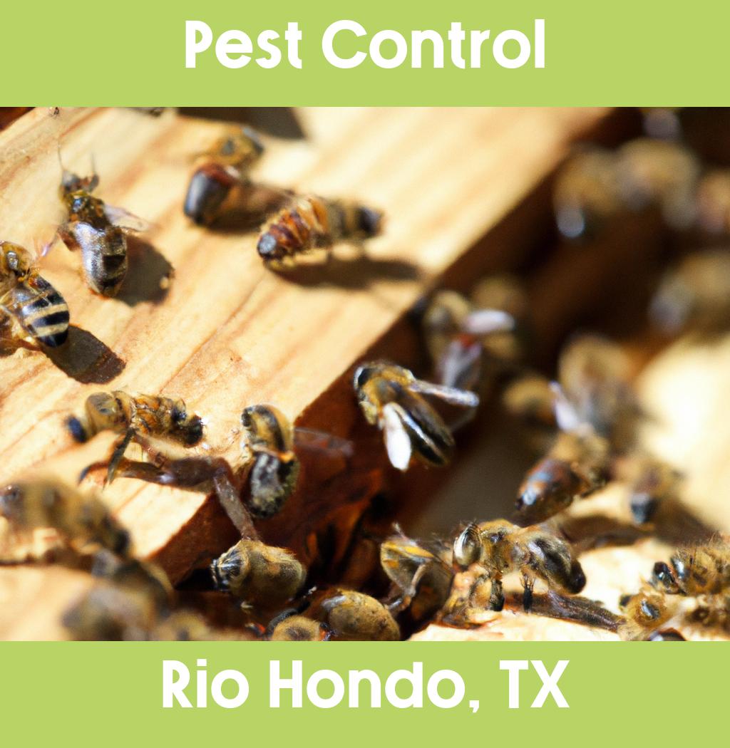 pest control in Rio Hondo Texas