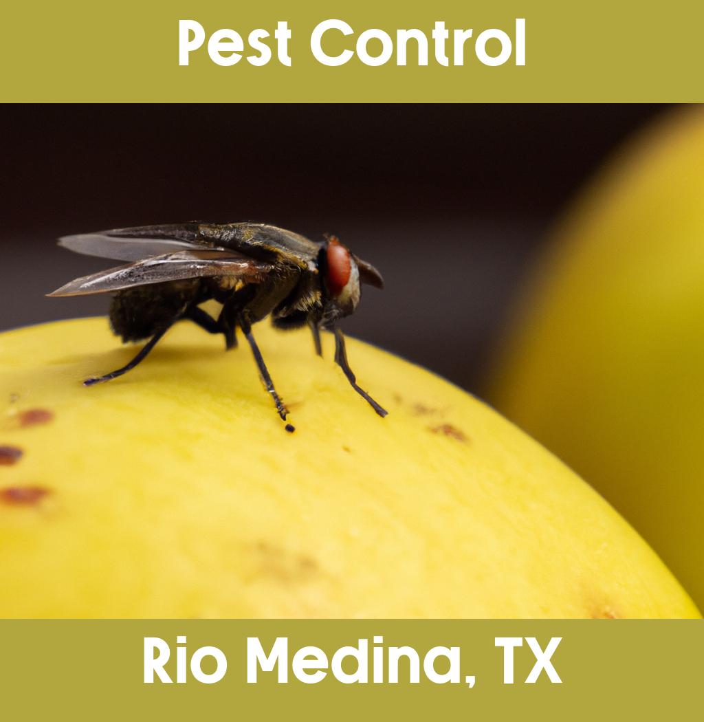 pest control in Rio Medina Texas