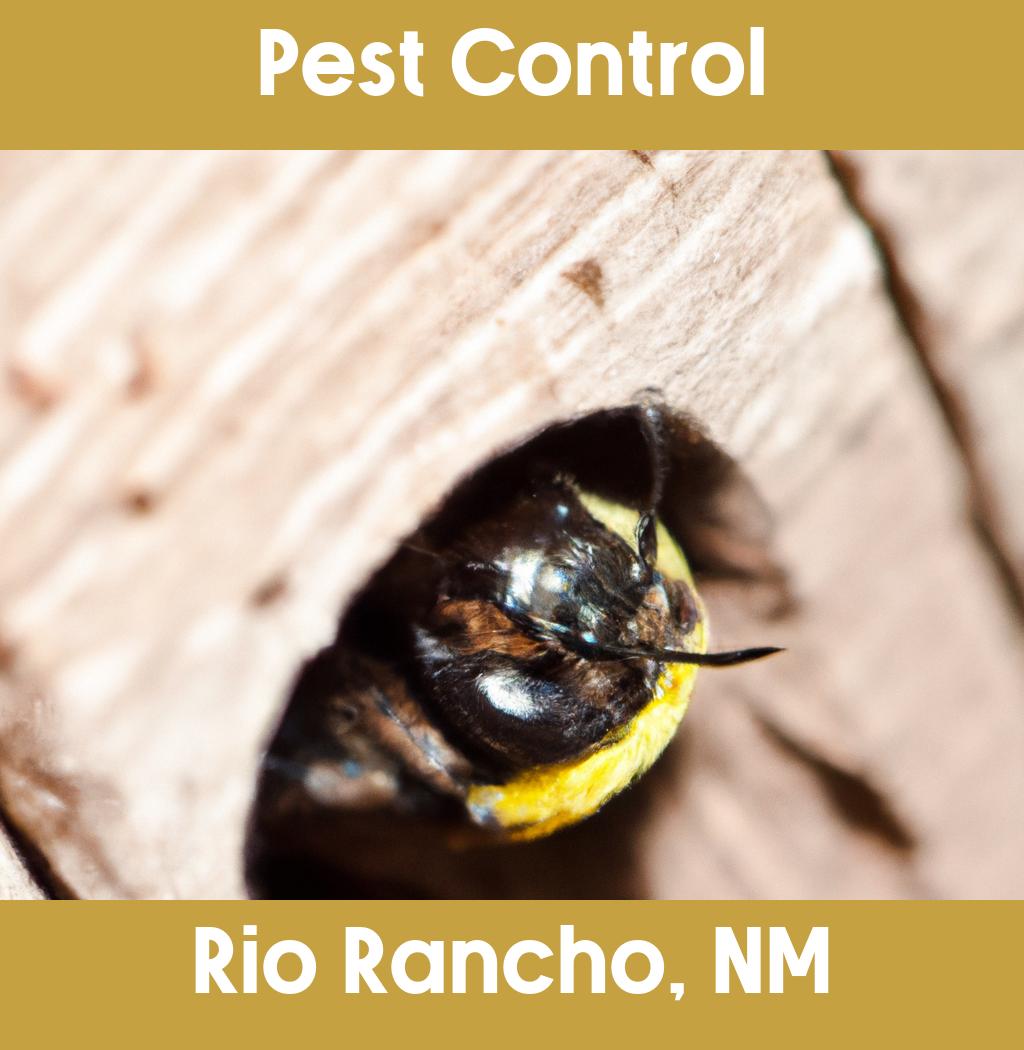 pest control in Rio Rancho New Mexico