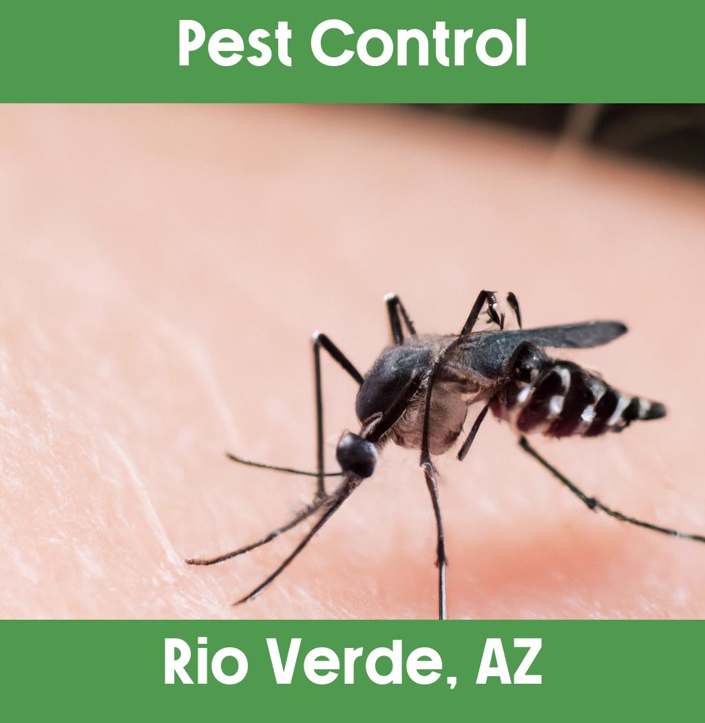 pest control in Rio Verde Arizona