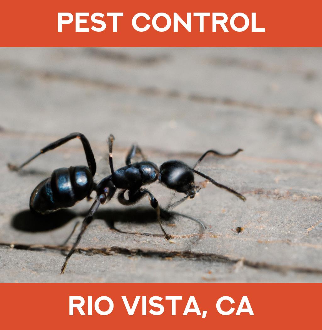 pest control in Rio Vista California