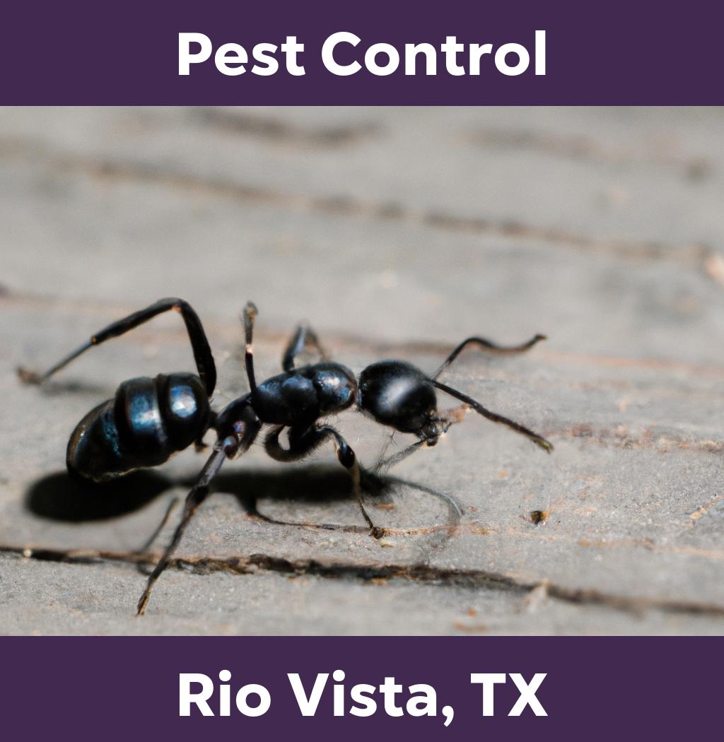 pest control in Rio Vista Texas
