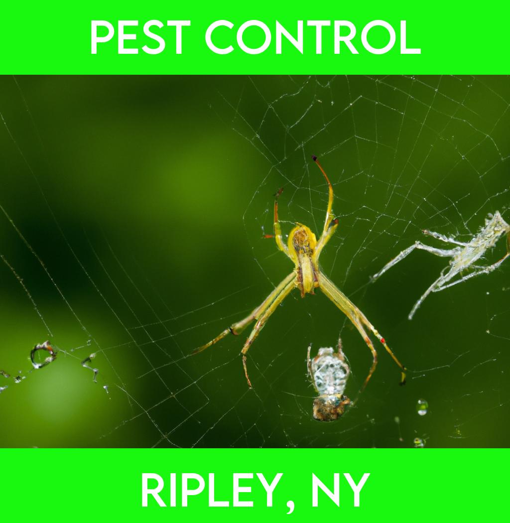 pest control in Ripley New York