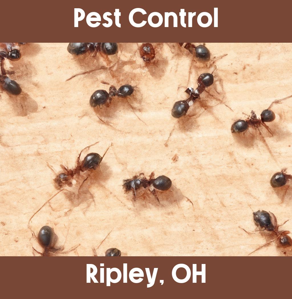 pest control in Ripley Ohio