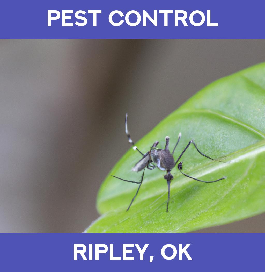 pest control in Ripley Oklahoma