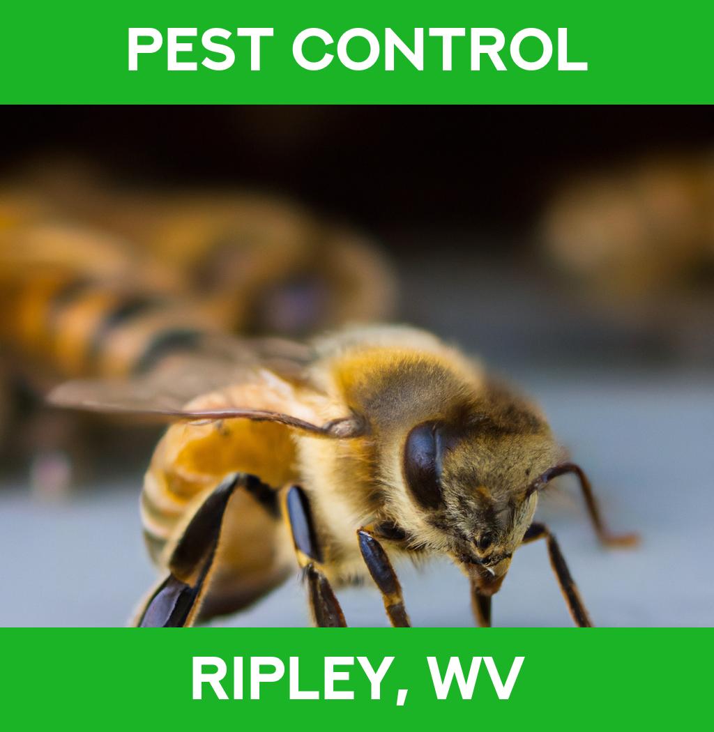 pest control in Ripley West Virginia