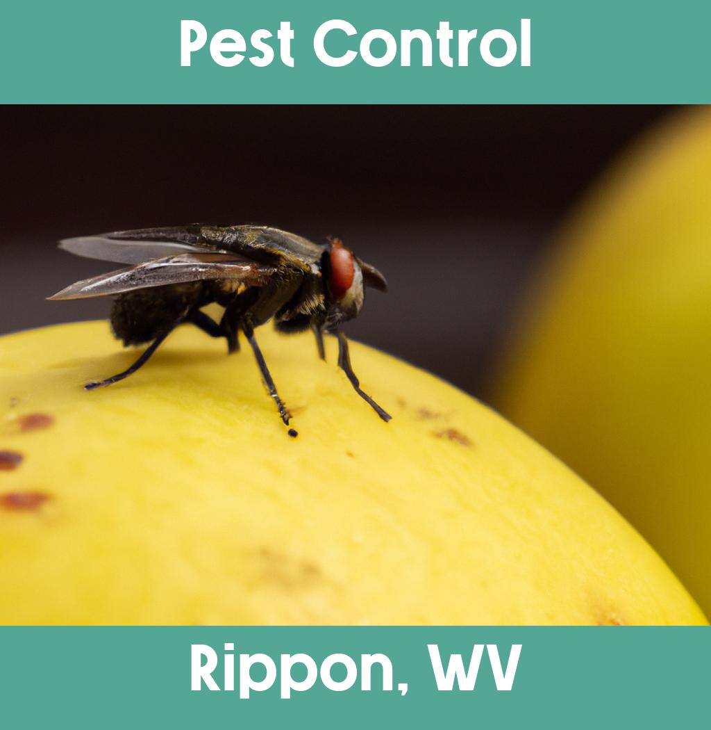 pest control in Rippon West Virginia