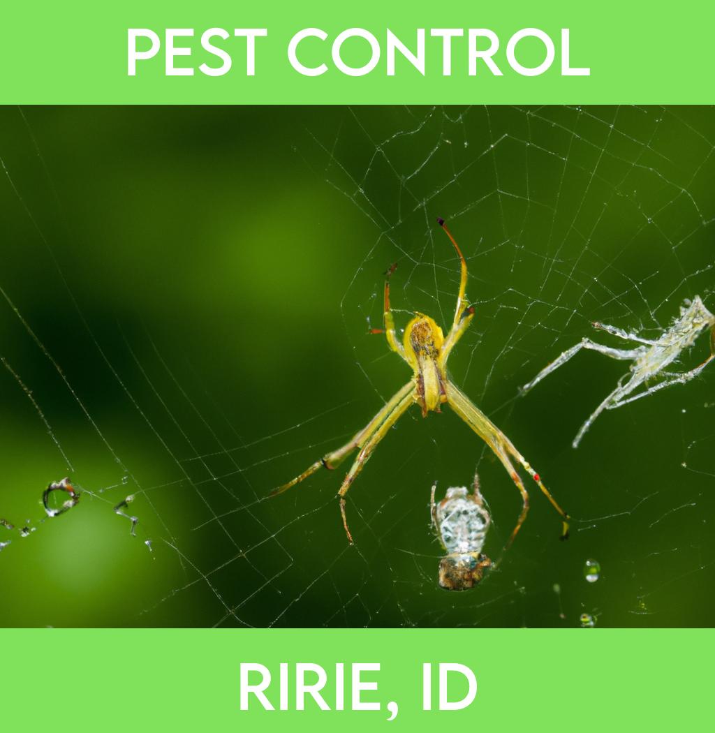 pest control in Ririe Idaho