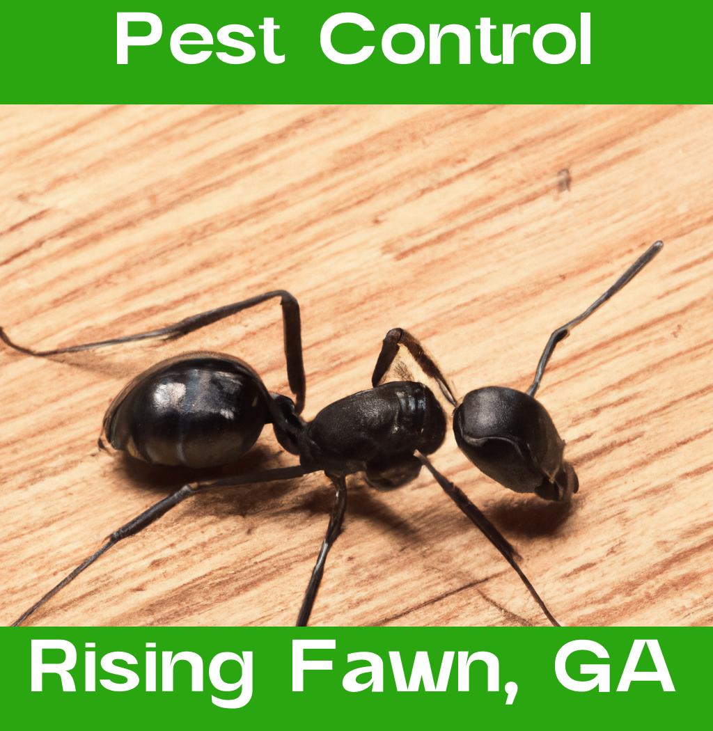 pest control in Rising Fawn Georgia