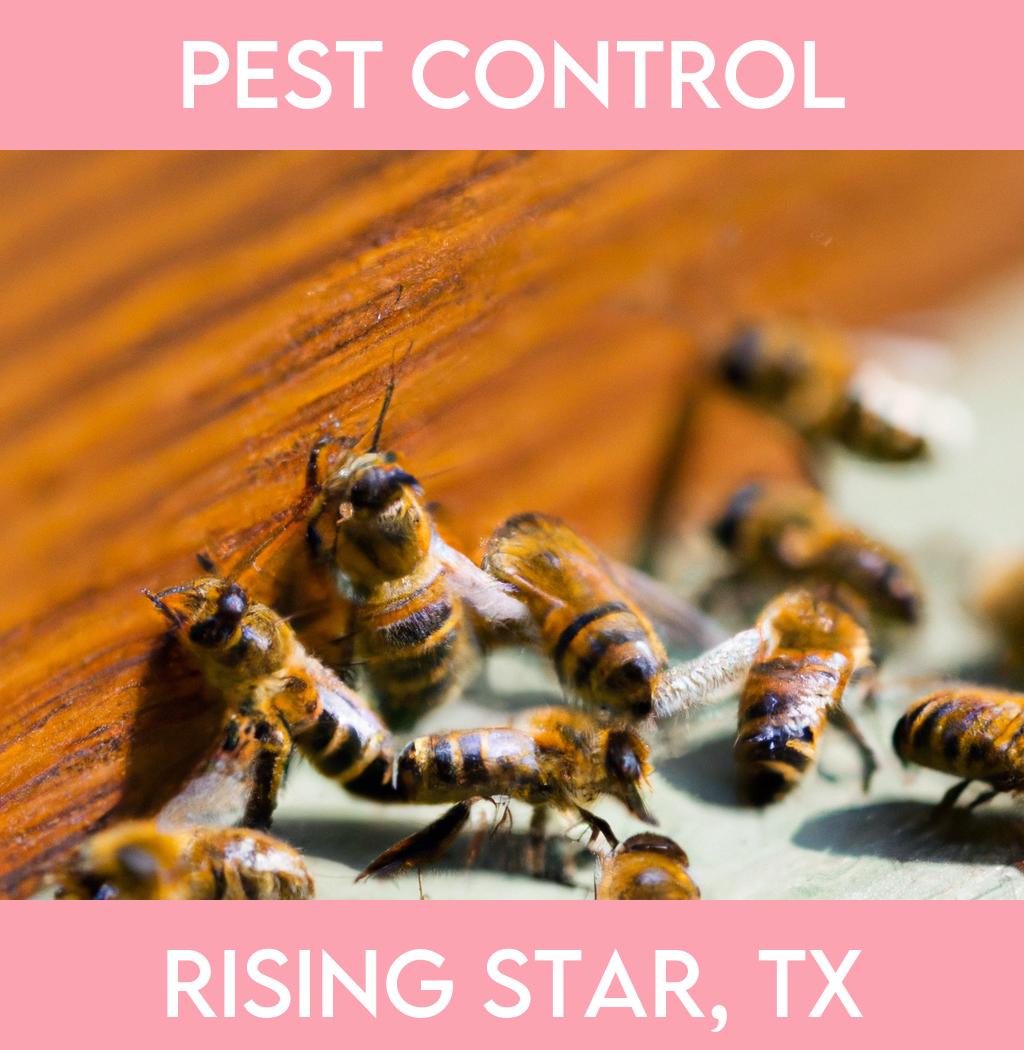 pest control in Rising Star Texas