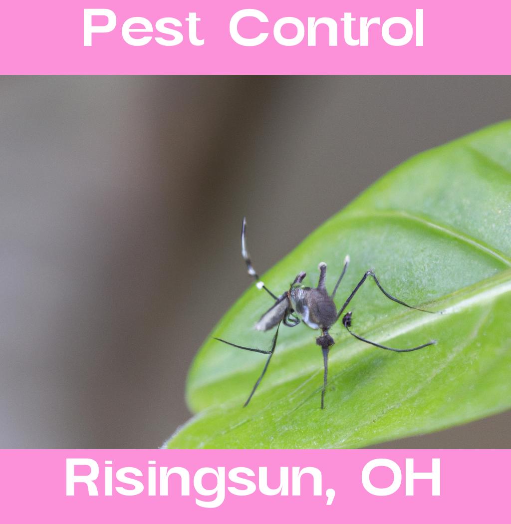 pest control in Risingsun Ohio