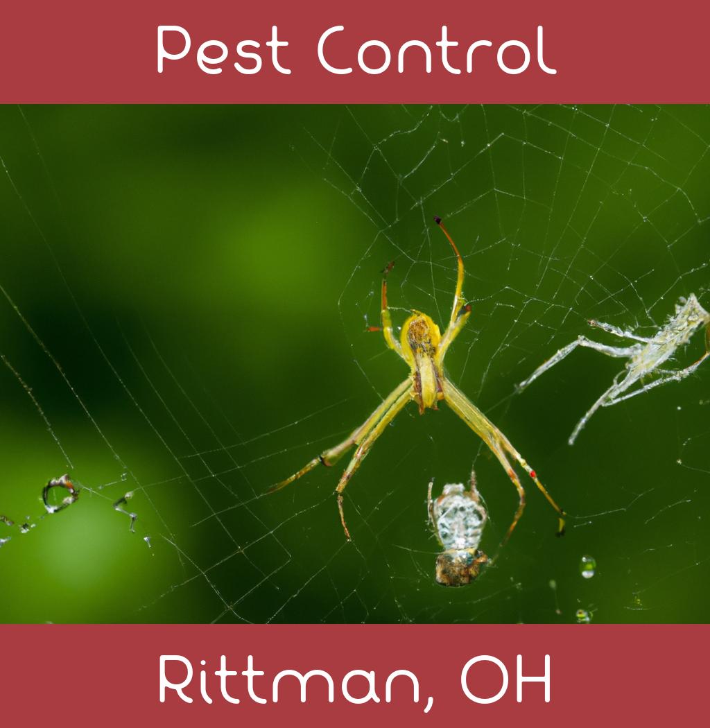 pest control in Rittman Ohio