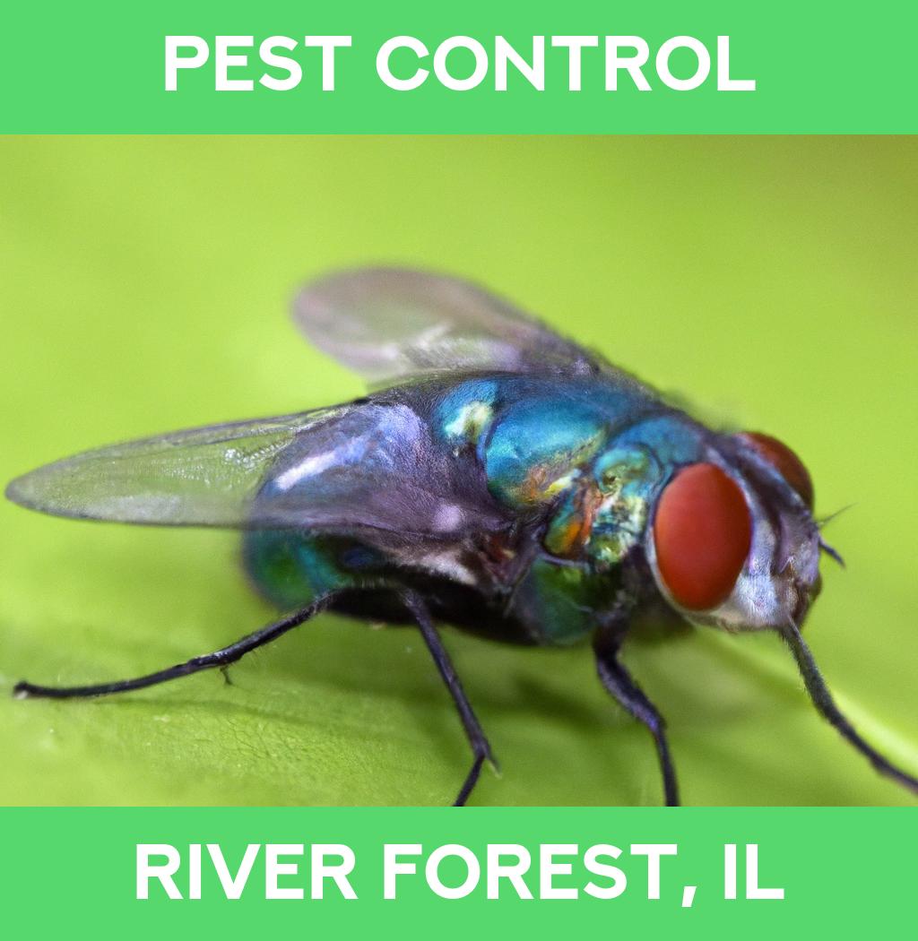 pest control in River Forest Illinois