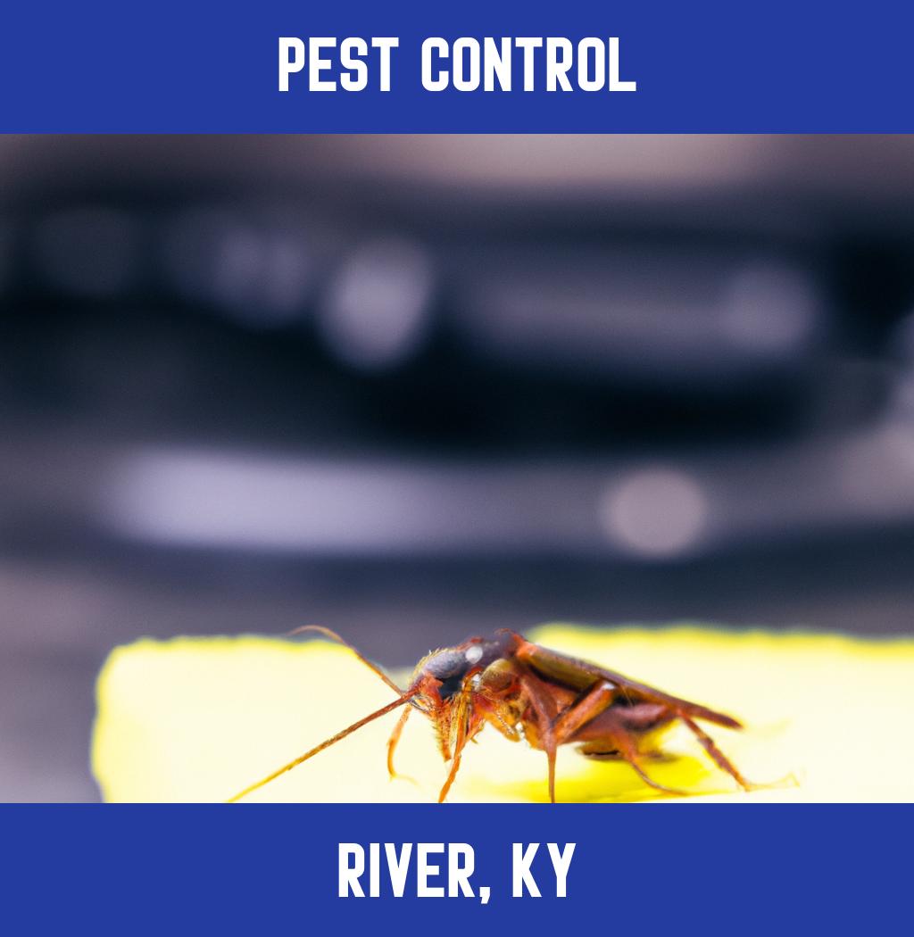 pest control in River Kentucky