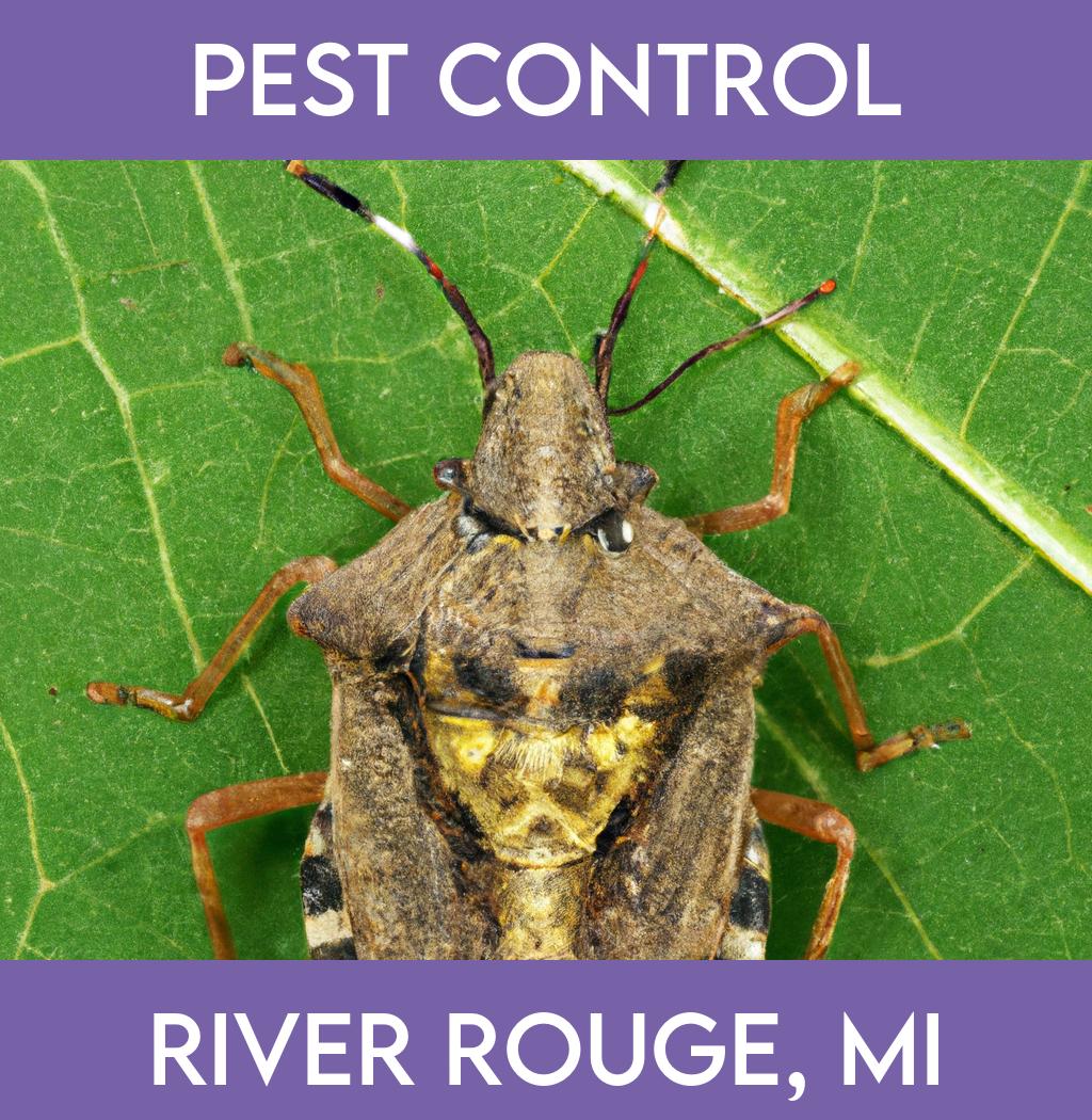 pest control in River Rouge Michigan
