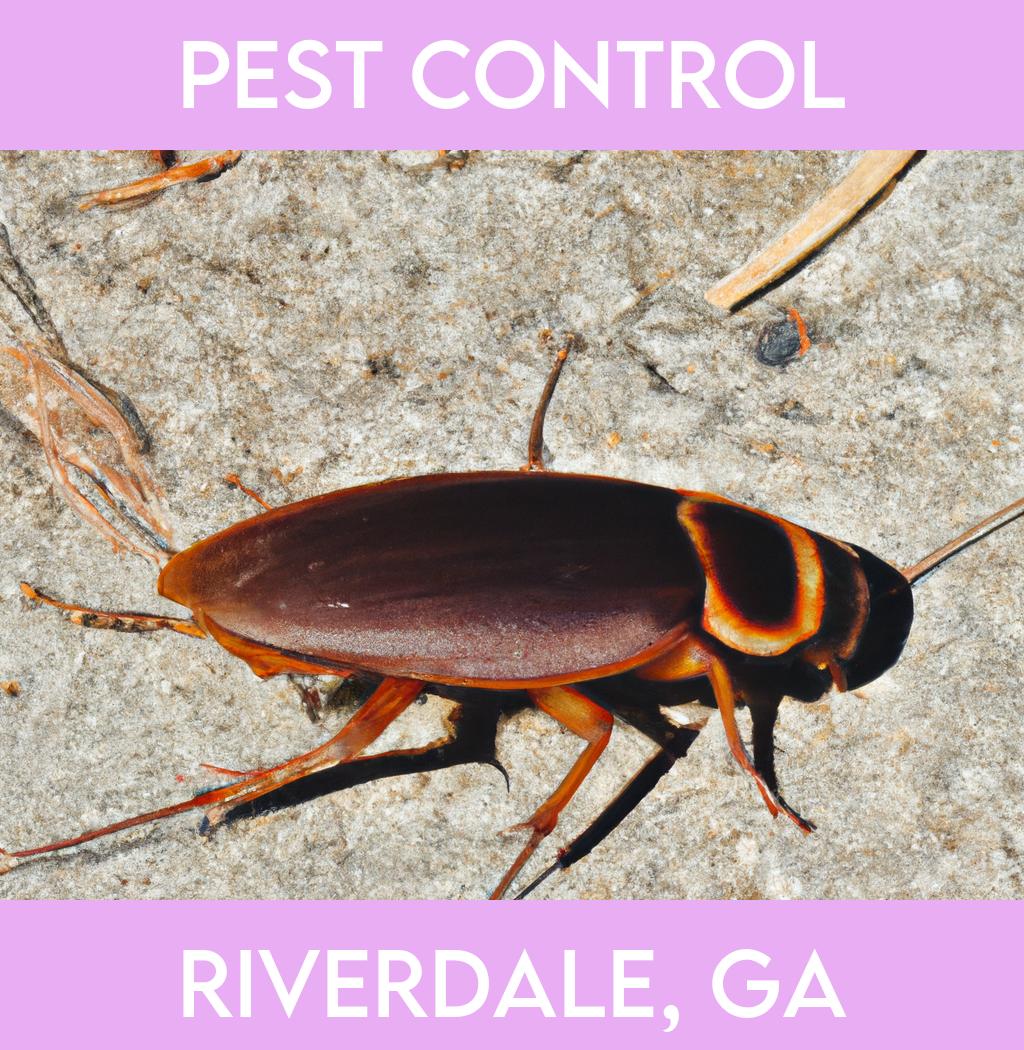 pest control in Riverdale Georgia