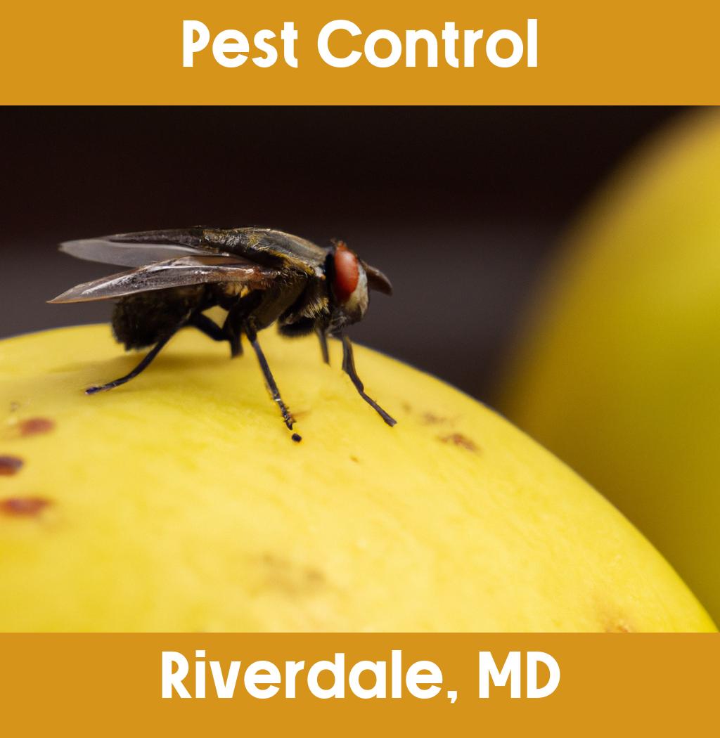 pest control in Riverdale Maryland